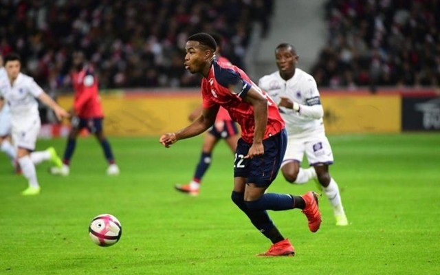 是德甲门将 是德甲门将